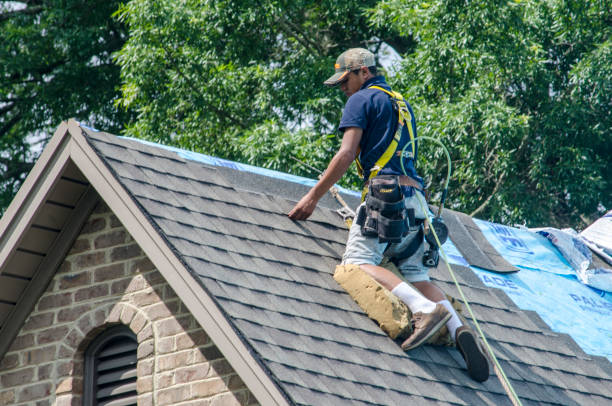 Best Residential Roofing Contractor  in Elizabeth City, NC